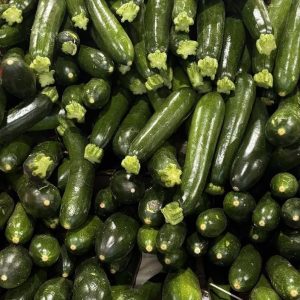 Courgette BIO