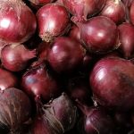 Oignon rouge Bio