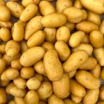pomme de terre allians