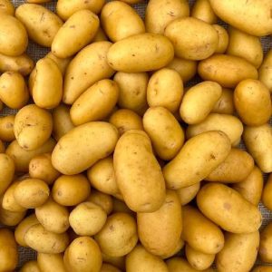 Pomme De Terre Bio Alliance